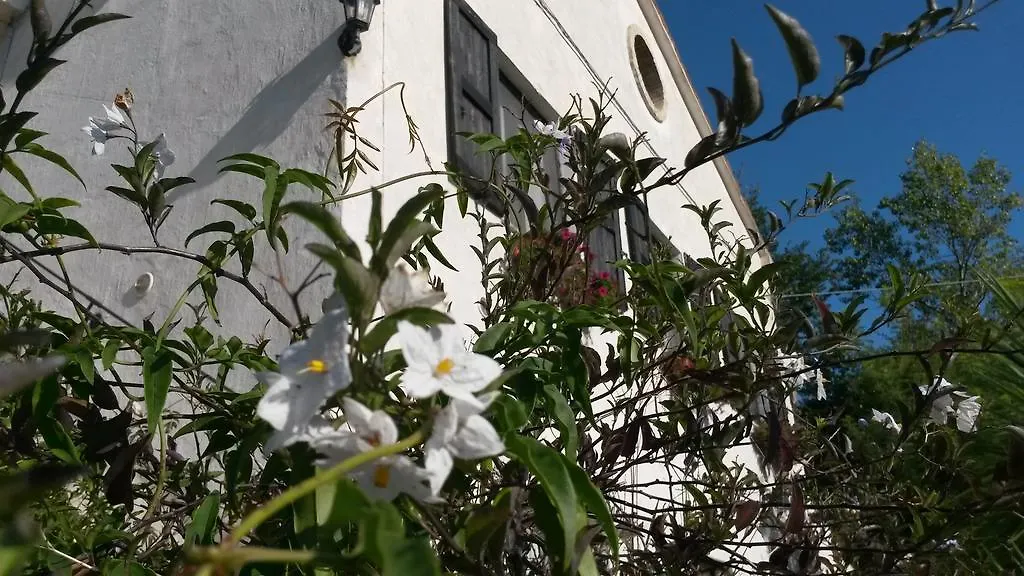 C'era Una Volta-1