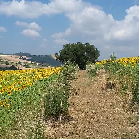 C'era Una Volta-2
